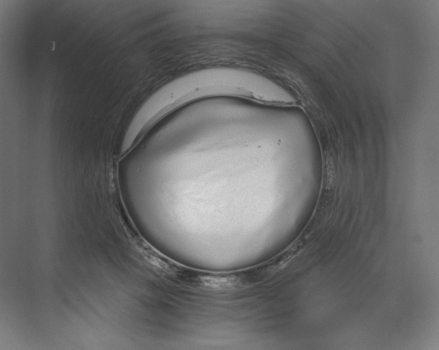 X0000068810457200606021555