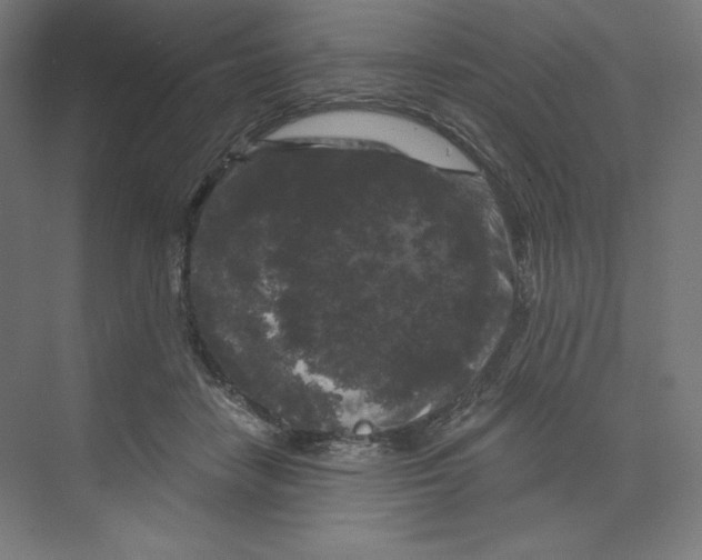 X0000068810458200606021555