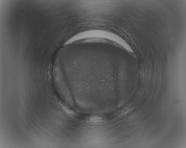 X0000068810462200606021555