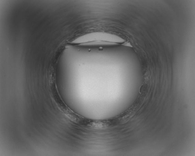 X0000068810464200606021555
