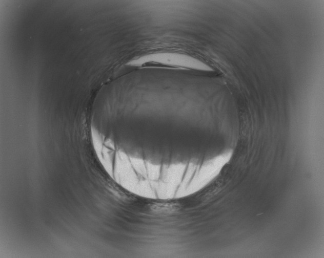 X0000068810465200606021555