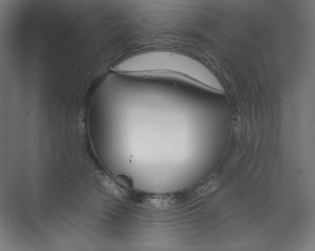 X0000068810466200606021555