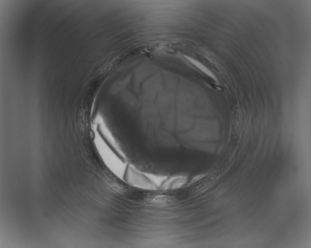 X0000068810467200606021555