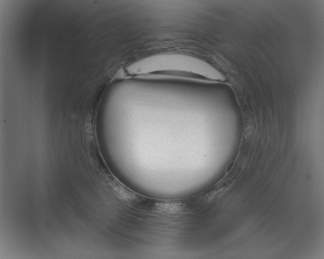 X0000068810469200606021555