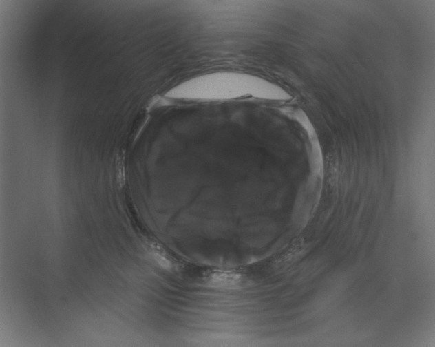 X0000068810471200606021555