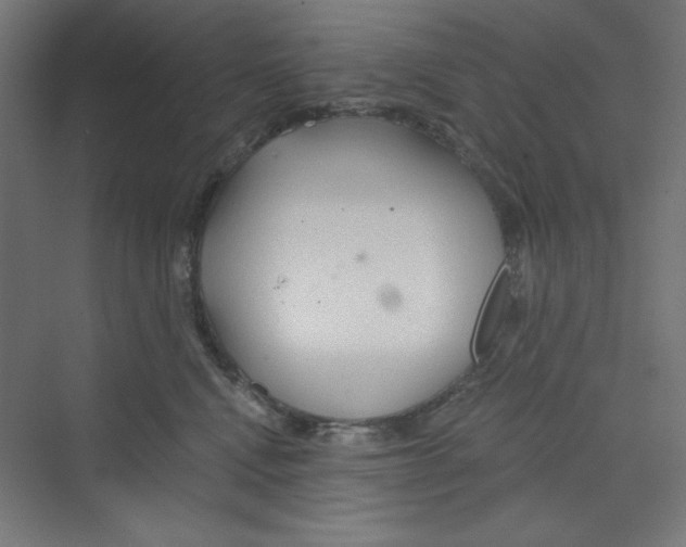 X0000068810472200606021555