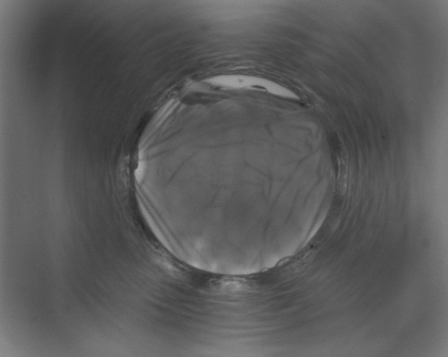 X0000068810475200606021555