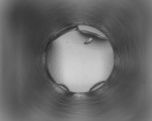 X0000068810477200606021556