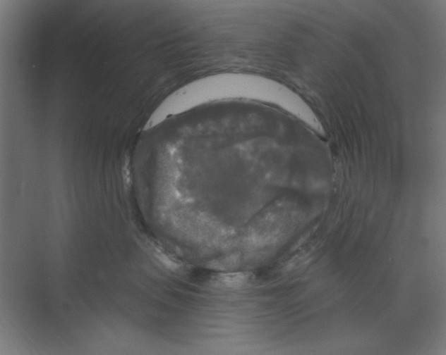 X0000068810479200606021556