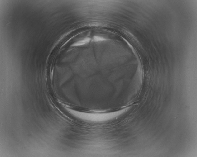 X0000068810484200606021555