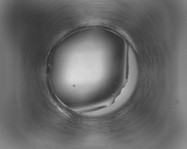 X0000068810485200606021555