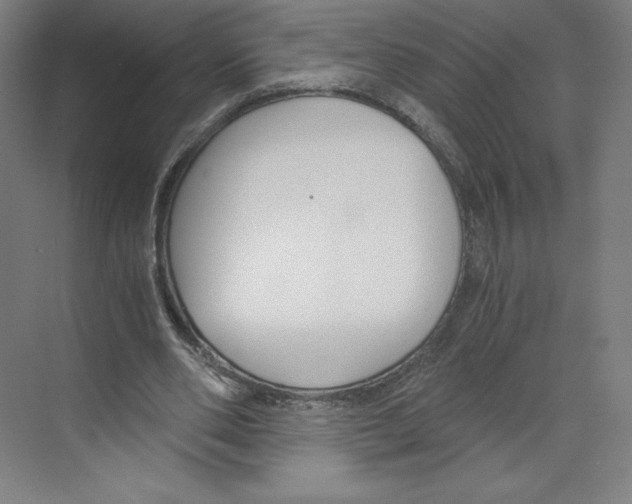 X0000068810486200606021555