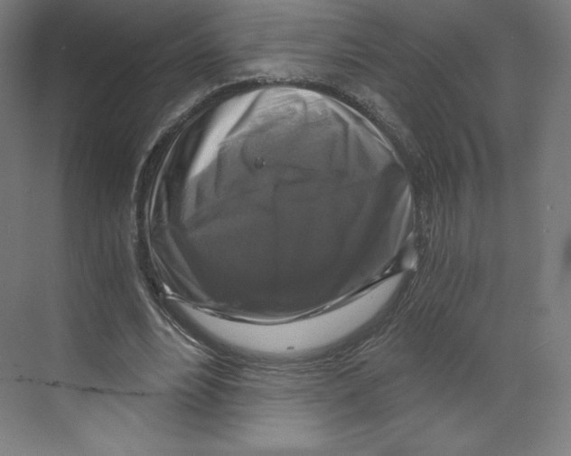 X0000068810488200606021555