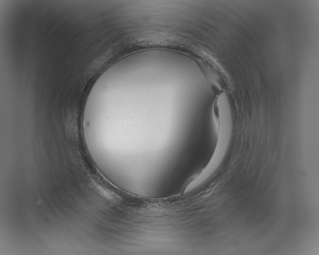 X0000068810489200606021555
