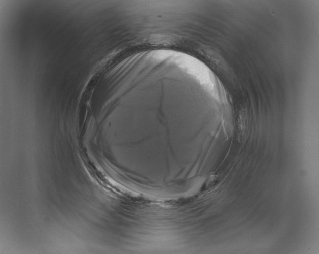 X0000068810492200606021555
