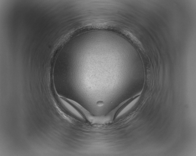 X0000068810493200606021555