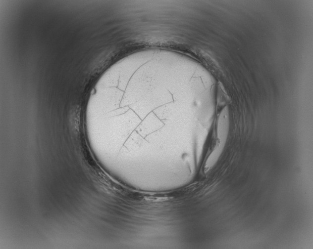 X0000068810495200606021555