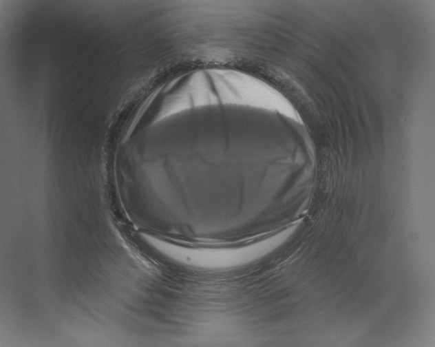 X0000068810496200606021555
