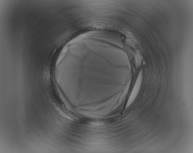 X0000068810500200606021554