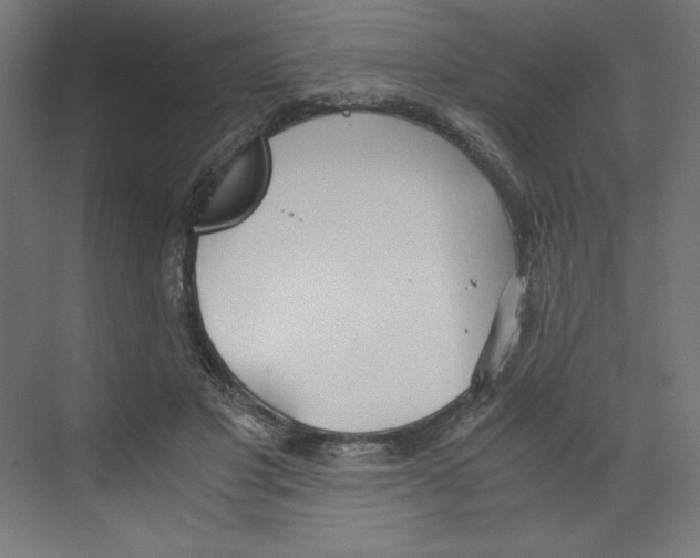 X0000068810501200606021554