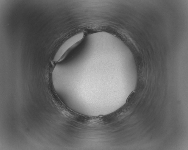 X0000068810505200606021554