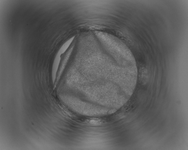 X0000068810506200606021554