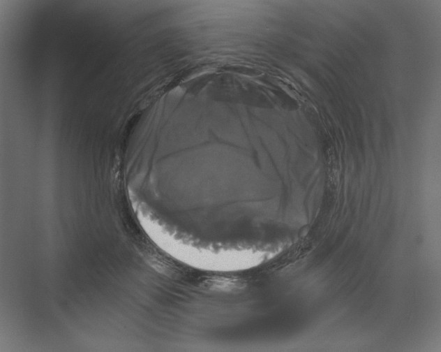 X0000068810507200606021554