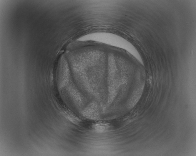 X0000068810508200606021554
