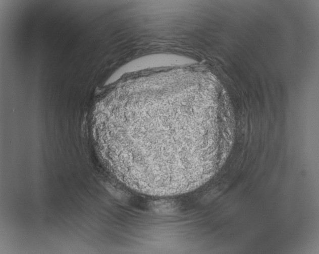 X0000068810511200606021554