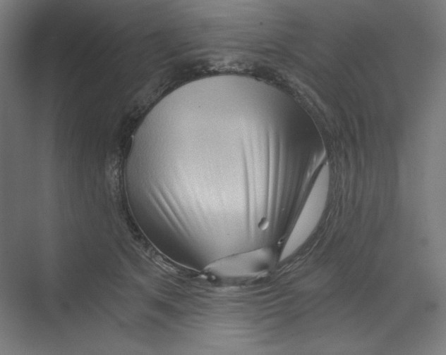 X0000068810513200606021554