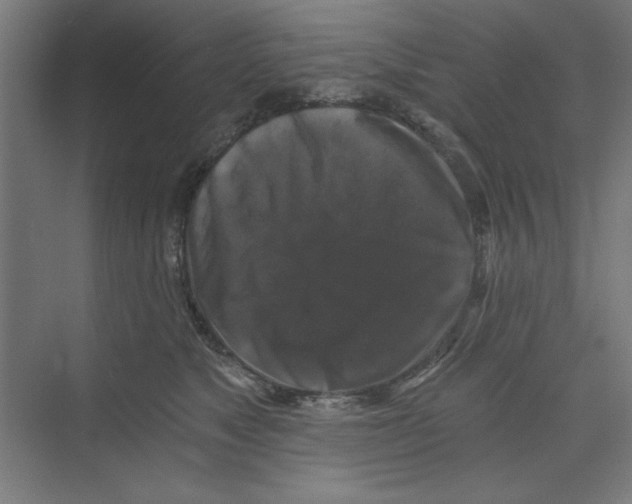 X0000068810517200606021554