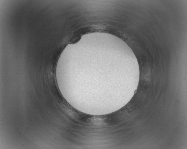 X0000068810518200606021554