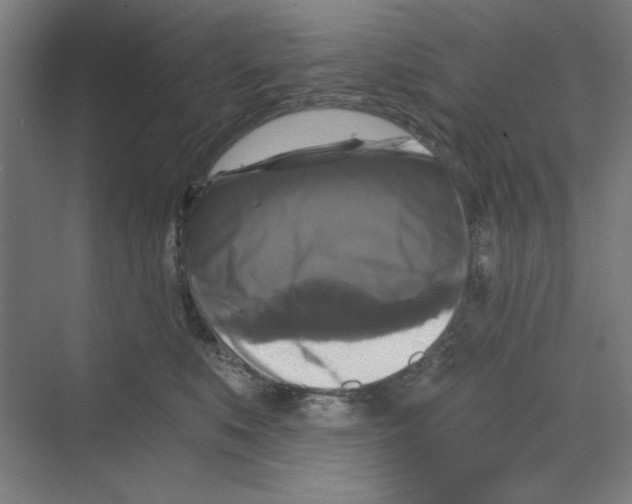 X0000068810519200606021554