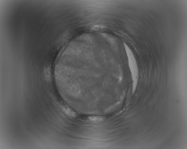 X0000068810520200606021554