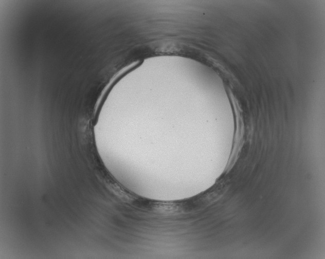X0000068810521200606021554