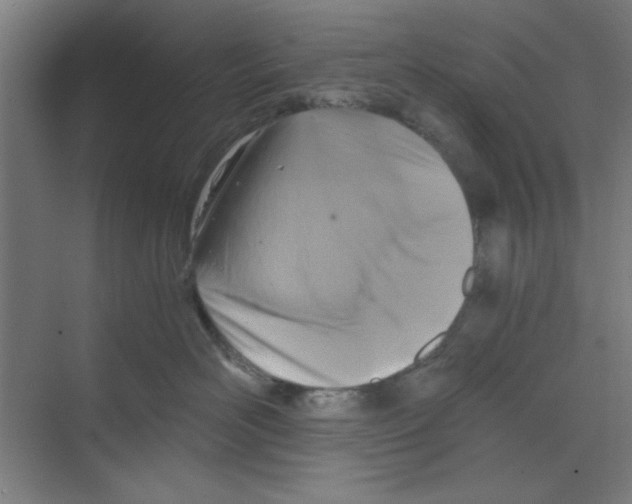 X0000068810526200606021554