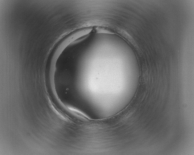 X0000068810530200606021553