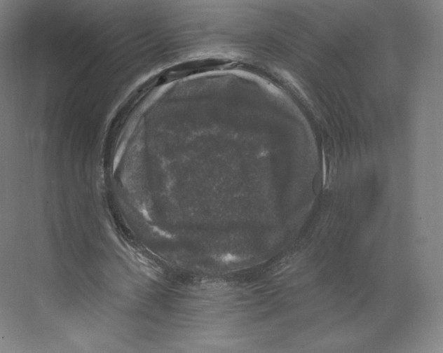 X0000068810531200606021553