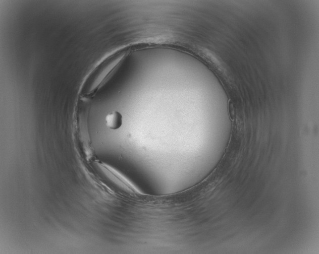 X0000068810532200606021553