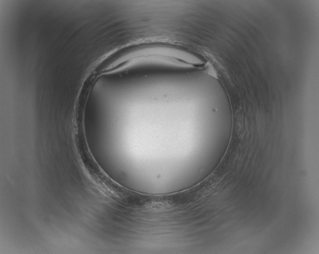 X0000068810536200606021553