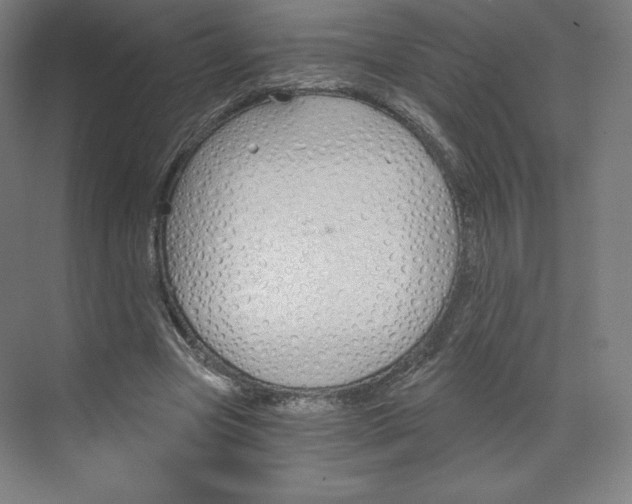 X0000068810537200606021553