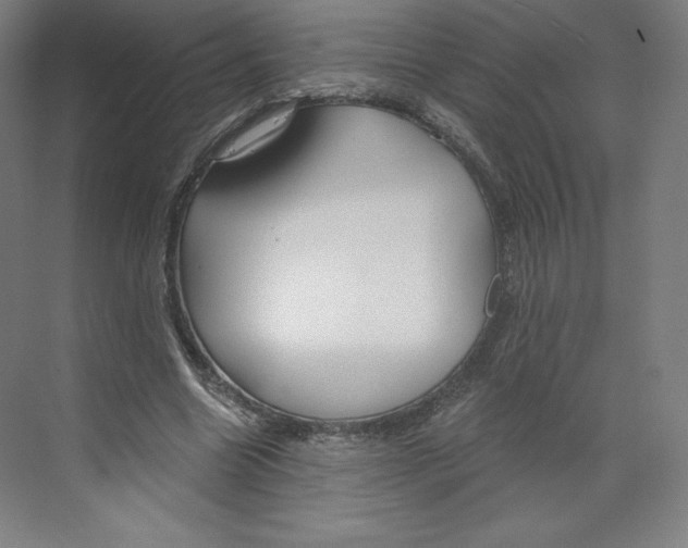 X0000068810538200606021553