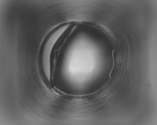 X0000068810540200606021553