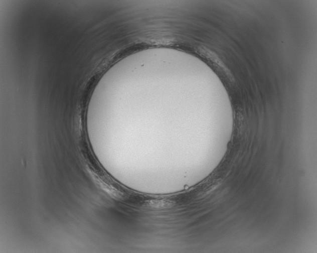 X0000068810541200606021553
