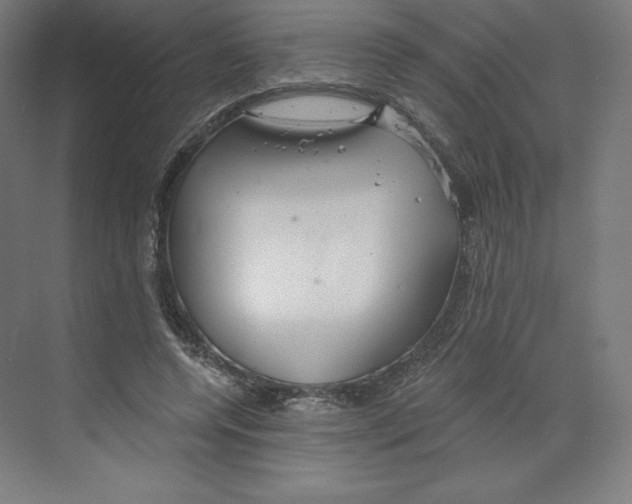 X0000068810544200606021553
