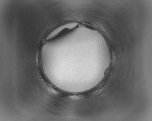 X0000068810545200606021553