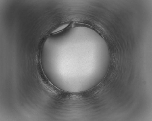 X0000068810546200606021553