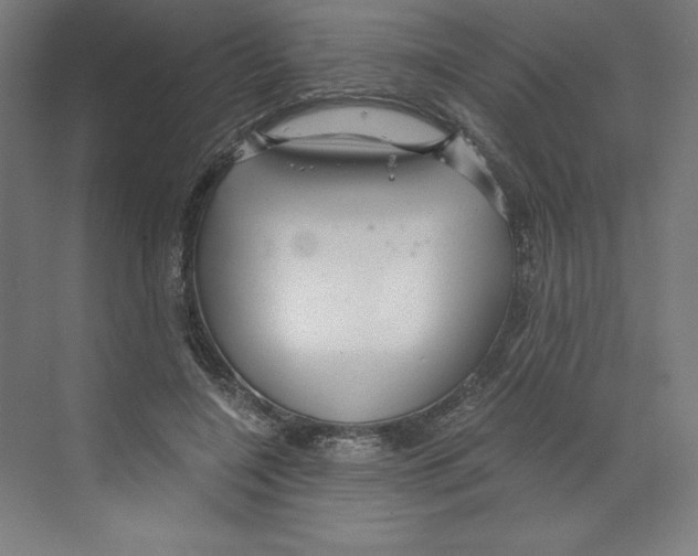 X0000068810548200606021553
