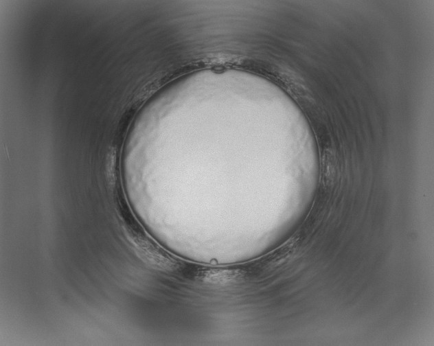X0000068810550200606021554