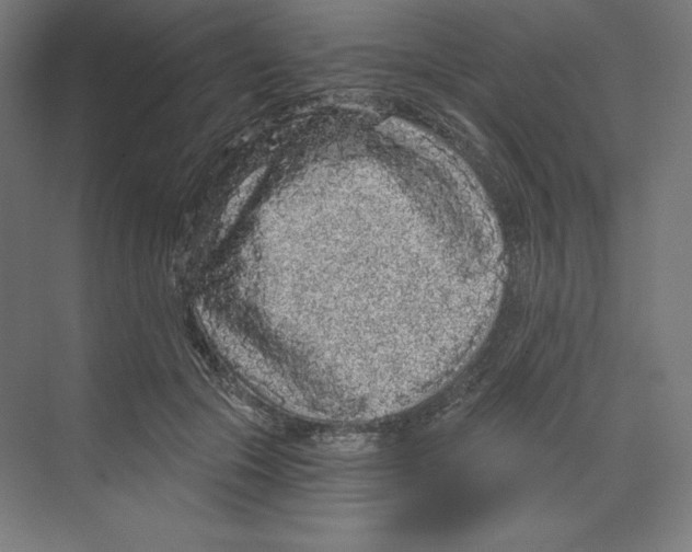 X0000068810553200606021554